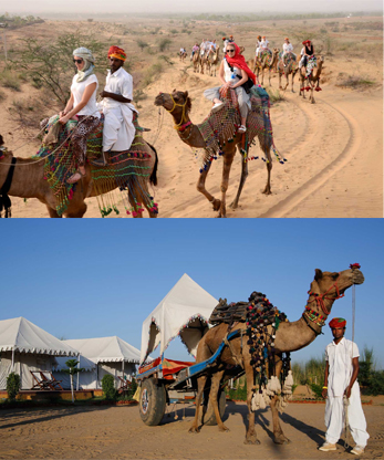 Rajasthan Tour Image 1